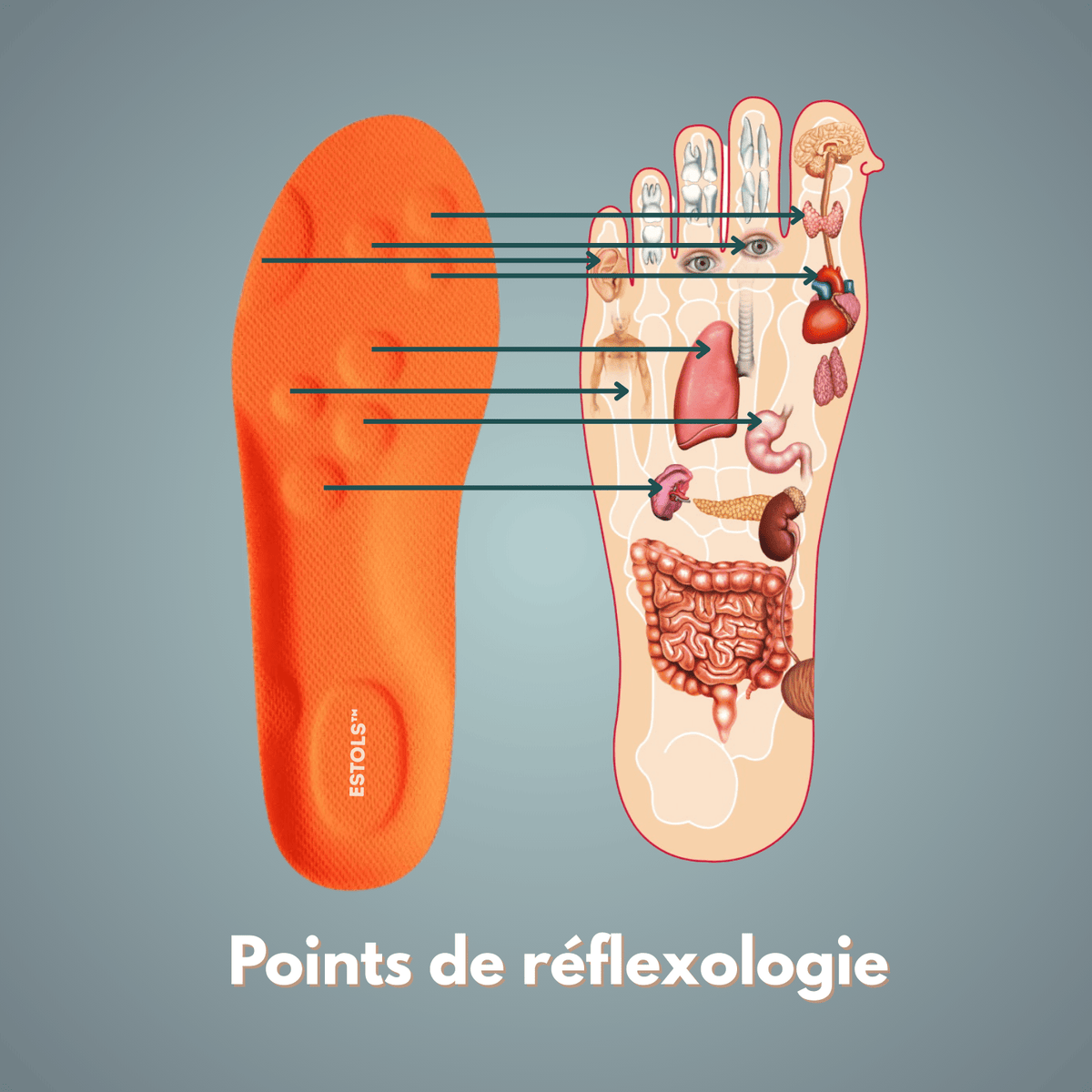 Estols™ | Semelles Orthopédiques